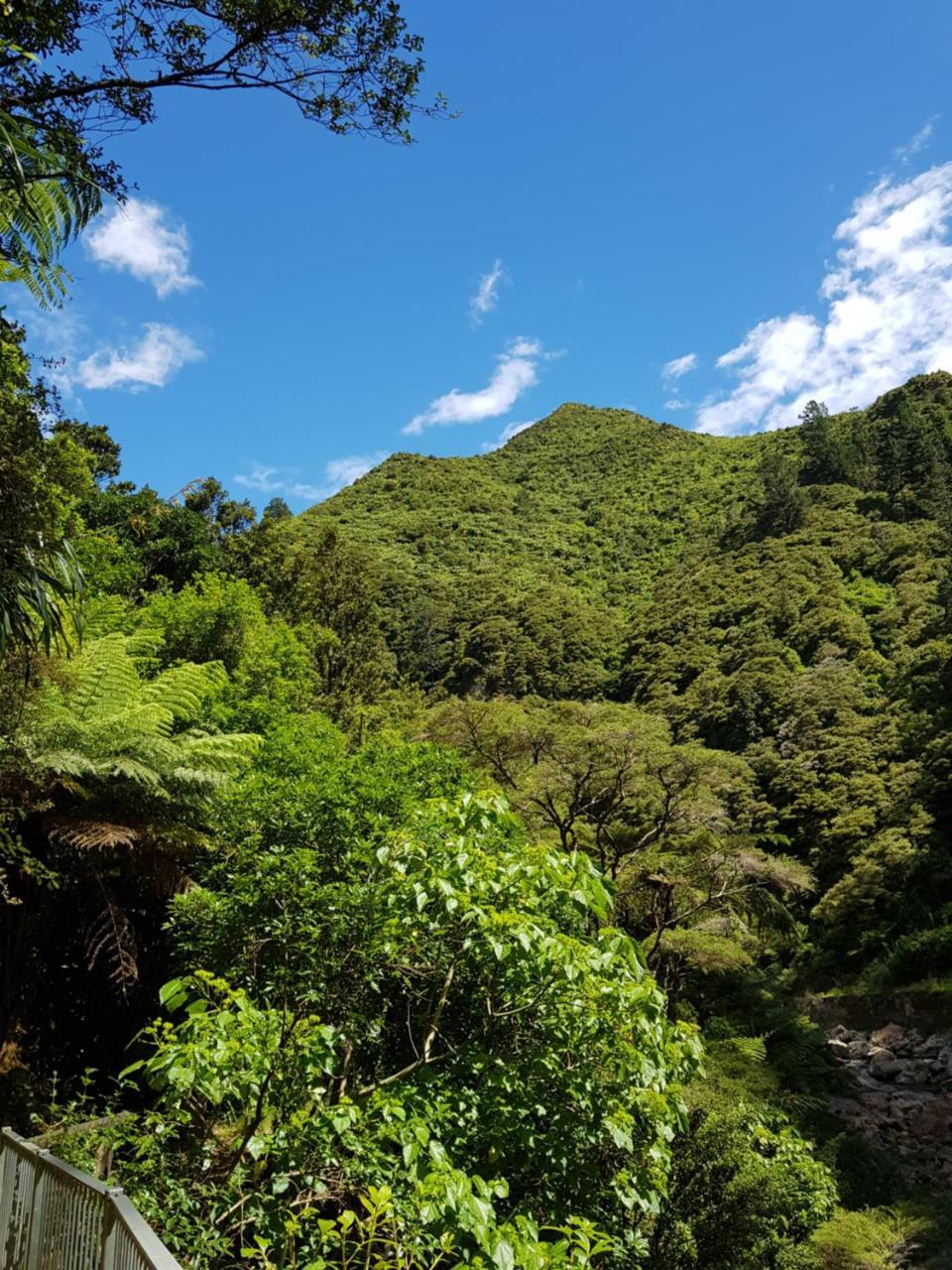 Riverside Accommodation Karangahake Esterno foto